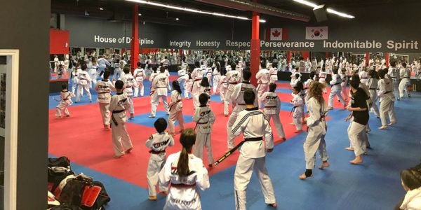 A large, disciplined class of students practicing taekwondo for kids and learning core martial arts values.